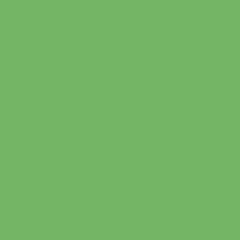CMYK-Coated-Light Green