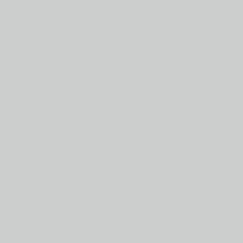 CMYK-Uncoated Light Gray CMYK-Uncoated Light Gray