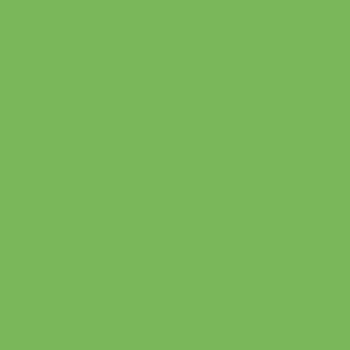 CMYK-Uncoated Light Green CMYK-Uncoated Light Green