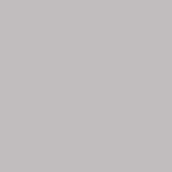 PMS Uncoated Light Gray PMS Uncoated Light Gray