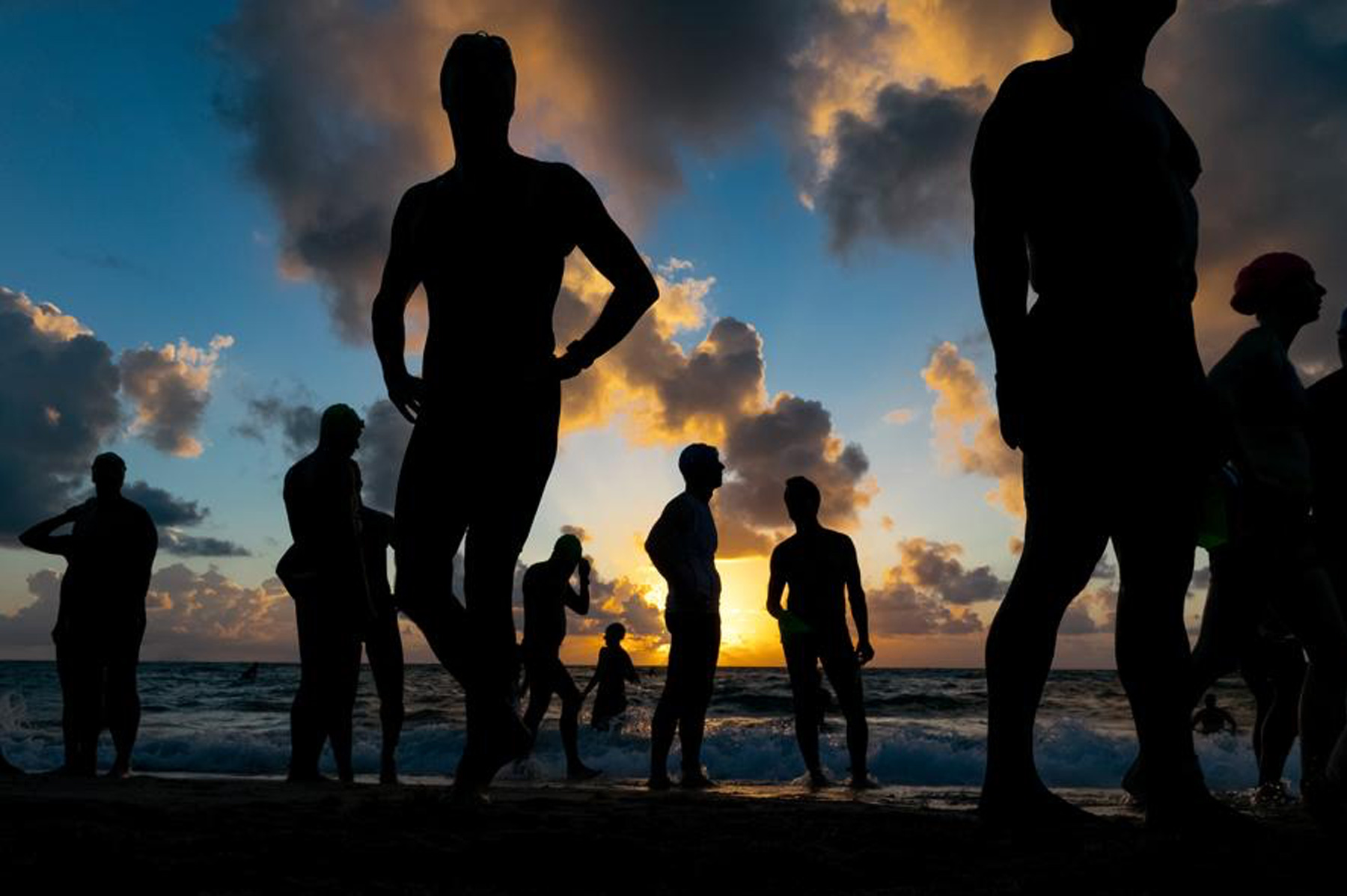 loggerhead-header-image loggerhead-header-image
